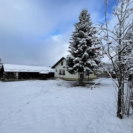 Guest house Pensiunea Vis Alpin Belis Belis