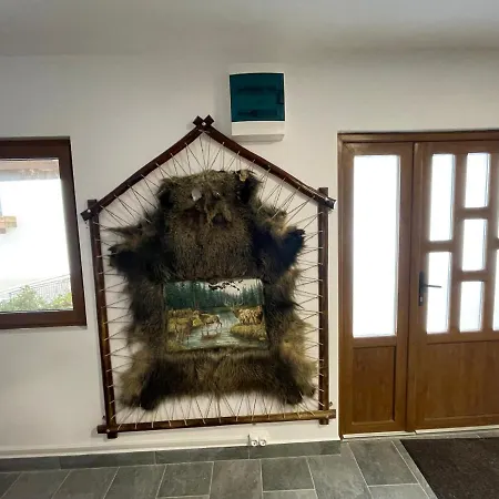 Pensiunea Vis Alpin Belis 3*