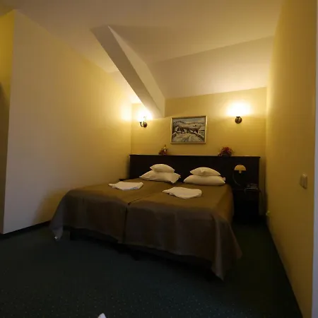 Guest house Pensiunea Vis Alpin Belis 3*
