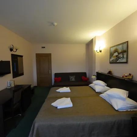 Guest house Pensiunea Vis Alpin Belis