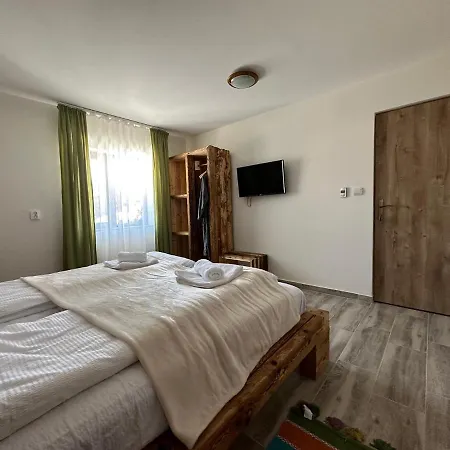 Pensiunea Vis Alpin Belis Guest house Belis