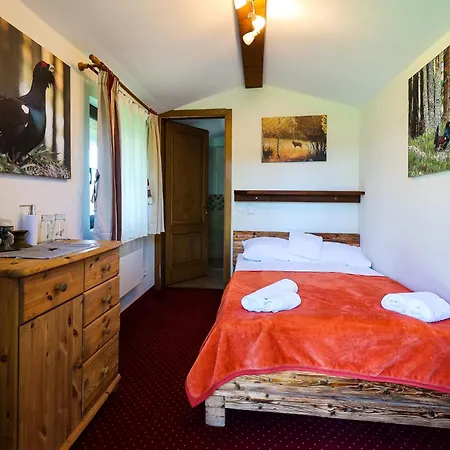 Pensiunea Vis Alpin Belis 3*