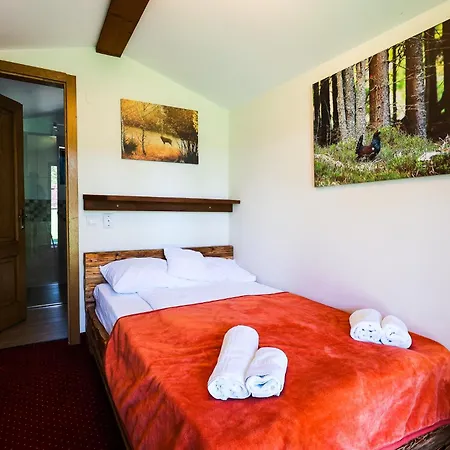 Pensiunea Vis Alpin Belis Guest house Belis