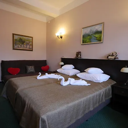 Pensiunea Vis Alpin Belis 3*
