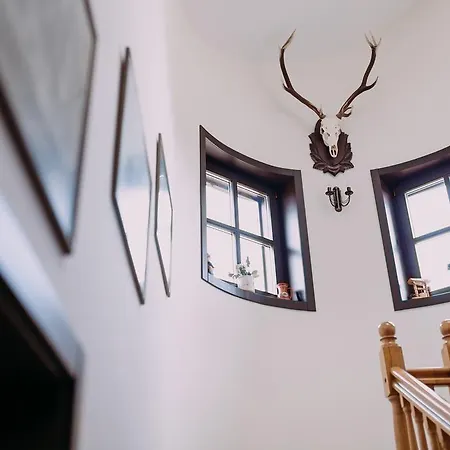 Pensiunea Vis Alpin Belis Guest house