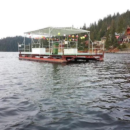 Pensiunea Vis Alpin Belis Guest house Belis