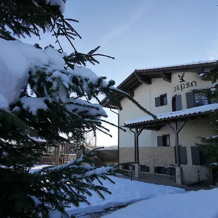 Guest house Pensiunea Vis Alpin Belis Belis