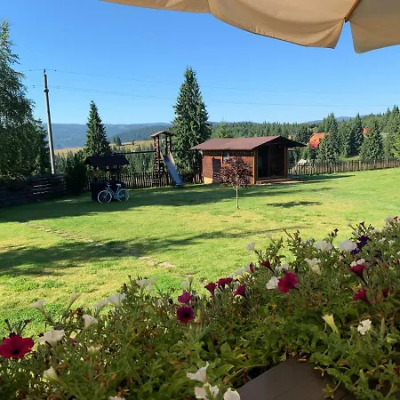 Pensiunea Vis Alpin Belis Guest house Belis