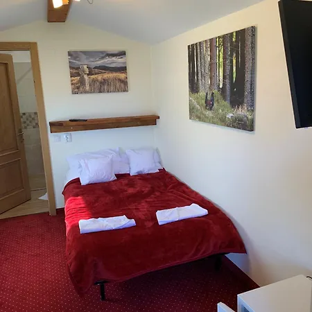 Guest house Pensiunea Vis Alpin Belis Belis